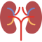 stem cell therapy for kidney failure in india