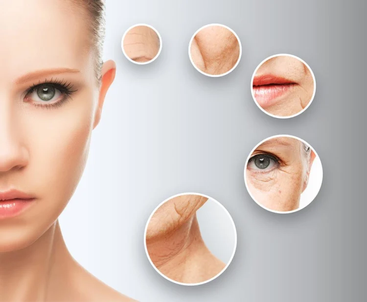 Stem Cell Therapy For Anti Ageing