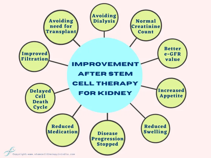 improvement After Stem Cell Therapy for Kidney